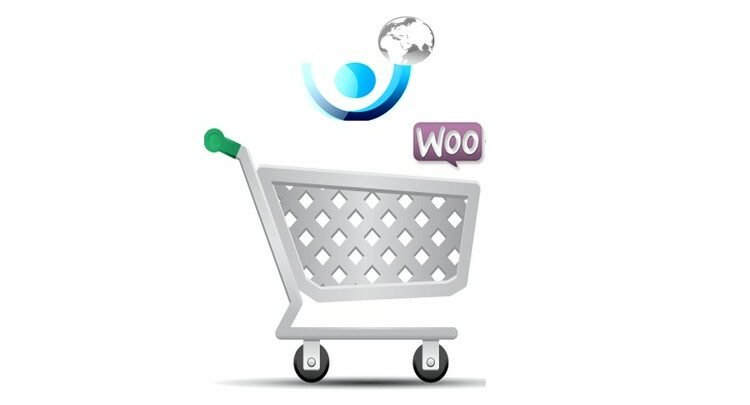 Build a Successful Ecommerce Wordpress site with proper SEO